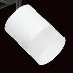 Трековый светильник Lightstar Rullo PRO348681