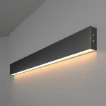 Накладной светильник Elektrostandard 101-100-30-78 a042939 Цвет арматуры черный Цвет плафонов белый