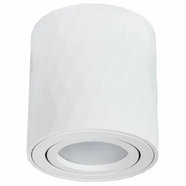 Накладной светильник Arte Lamp Fang 2 A5559PL-1WH