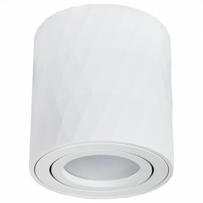 Накладной светильник Arte Lamp Fang 2 A5559PL-1WH от ImperiumLoft