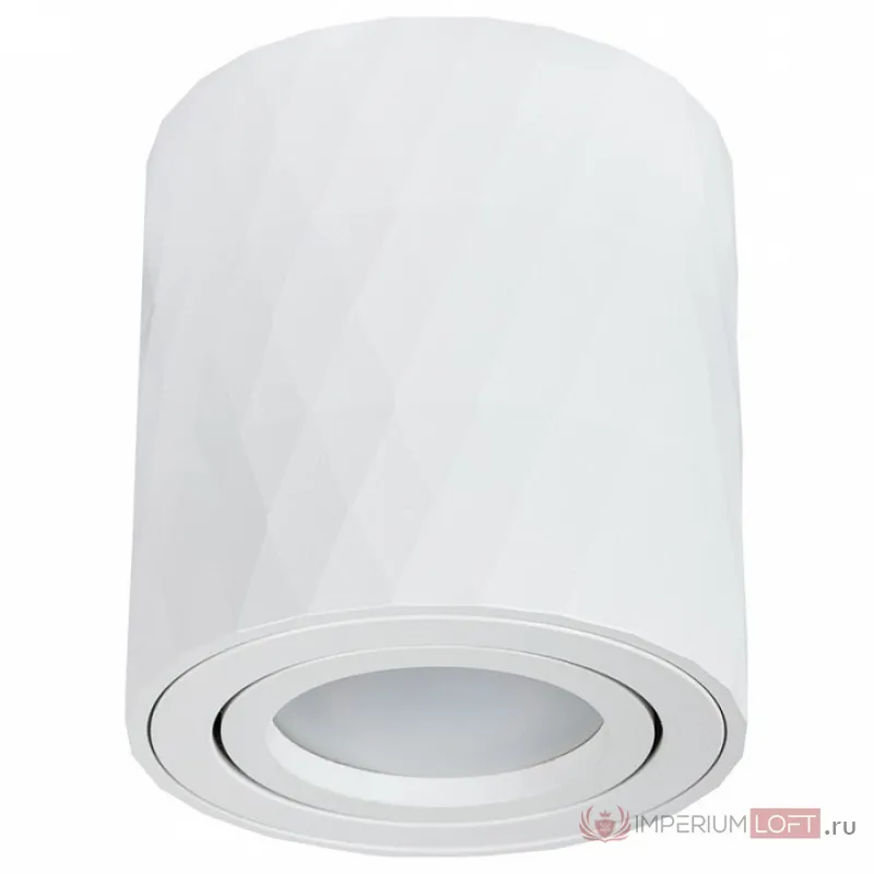 Накладной светильник Arte Lamp Fang 2 A5559PL-1WH от ImperiumLoft