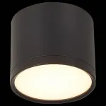 Накладной светильник ST-Luce Rene ST113.432.09 Цвет арматуры черный Цвет плафонов черный