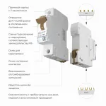 Автоматический выключатель 1P Werkel Автоматические выключатели W901P254 от ImperiumLoft