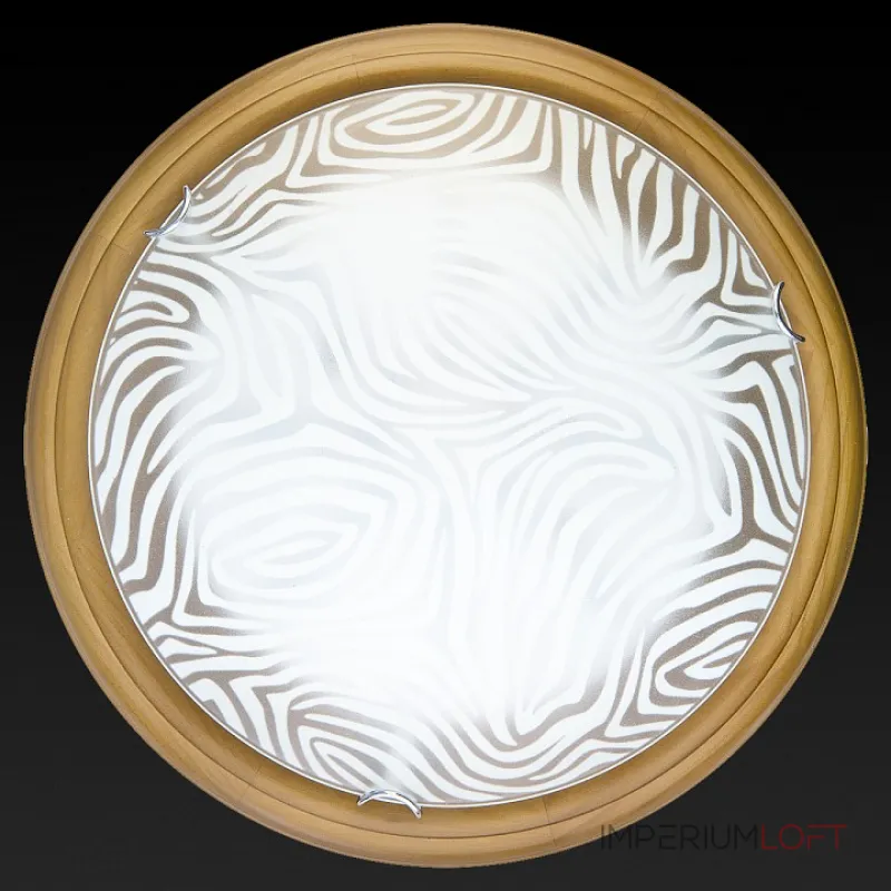 Потолочный светильник TopLight Agatha TL9260Y-00OA 