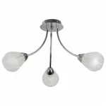 Потолочная люстра TopLight Fay TL3660X-03CH 