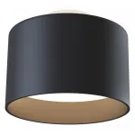 Накладной светильник Maytoni Planet C009CW-L16B Цвет арматуры черный Цвет плафонов черный