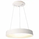 Подвесной светильник Deko-Light Sculptoris 342124 Цвет арматуры белый от ImperiumLoft