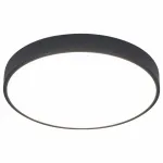 Накладной светильник Arte Lamp Arena A2661PL-1BK Цвет плафонов прозрачный Цвет арматуры черный