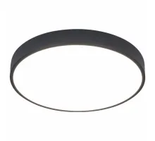 Накладной светильник Arte Lamp Arena A2661PL-1BK Цвет плафонов прозрачный Цвет арматуры черный