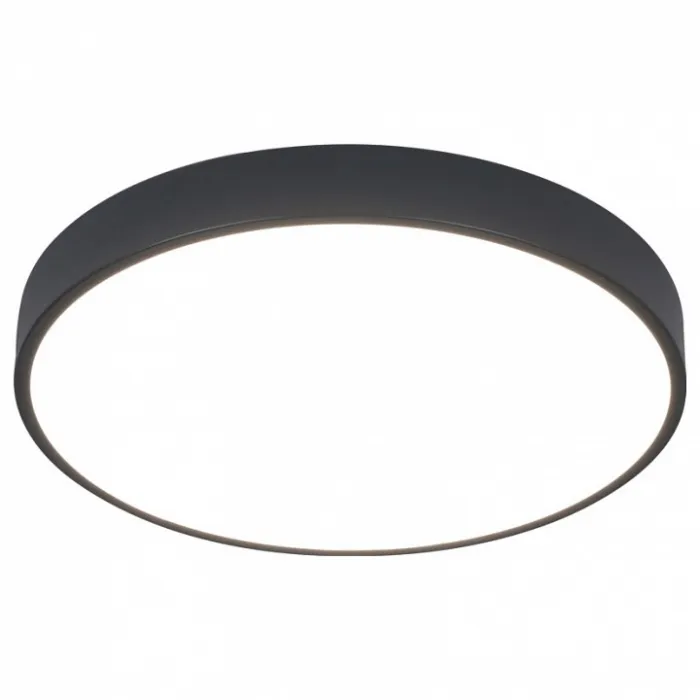 Накладной светильник Arte Lamp Arena A2661PL-1BK Цвет плафонов прозрачный Цвет арматуры черный от ImperiumLoft