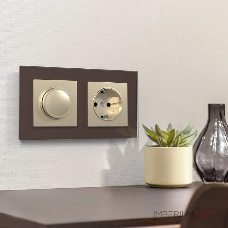 Розетка с заземлением без рамки Werkel W117 8 W1171011