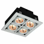 Встраиваемый светильник Arte Lamp Cardani A5930PL-4WH Цвет арматуры белый Цвет плафонов прозрачный
