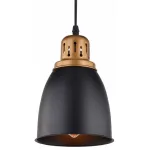 Подвесной светильник Arte Lamp Eurica A4248SP-1BK 