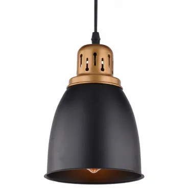 Подвесной светильник Arte Lamp Eurica A4248SP-1BK Цвет арматуры черный Цвет плафонов черный
