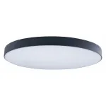 Накладной светильник Loft it Axel 1 10002/48 Black Цвет арматуры черный Цвет плафонов белый от ImperiumLoft