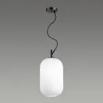 Подвесной светильник Odeon Light Roofi 4751/1 Цвет плафонов белый Цвет арматуры черный от ImperiumLoft