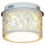 Накладной светильник Lussole Vetere GRLSF-2307-04 от ImperiumLoft