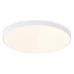 Накладной светильник Ambrella FZ FZ1221