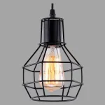 Подвесной светильник Arte Lamp 1109 A1109SP-1BK 