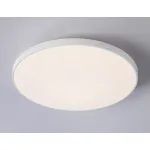 Накладной светильник Ambrella FZ FZ1221