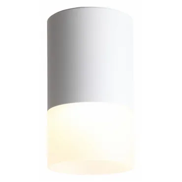 Накладной светильник ST-Luce Ottu ST100.502.05 Цвет арматуры белый