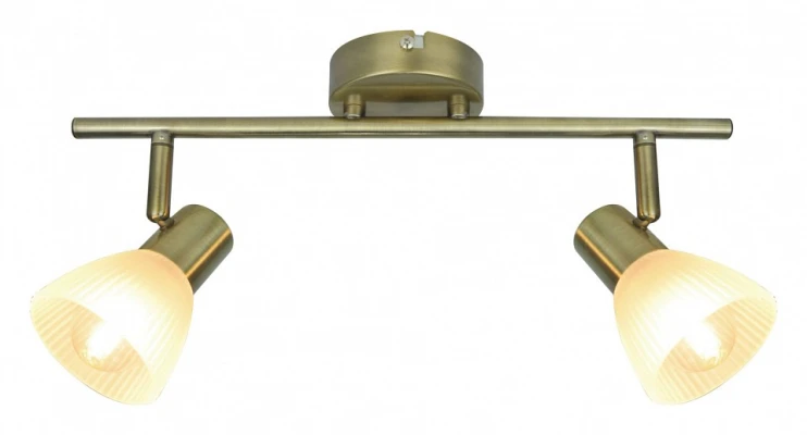 Спот Arte Lamp Parry A5062AP-2AB Цвет арматуры бронза Цвет плафонов белый