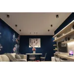 Накладной светильник Denkirs DK3040 DK3090-BK+WH Цвет плафонов черный