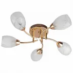 Потолочная люстра TopLight Lucy TL7120X-05FG 