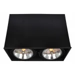 Накладной светильник Arte Lamp Cardani A5936PL-2BK