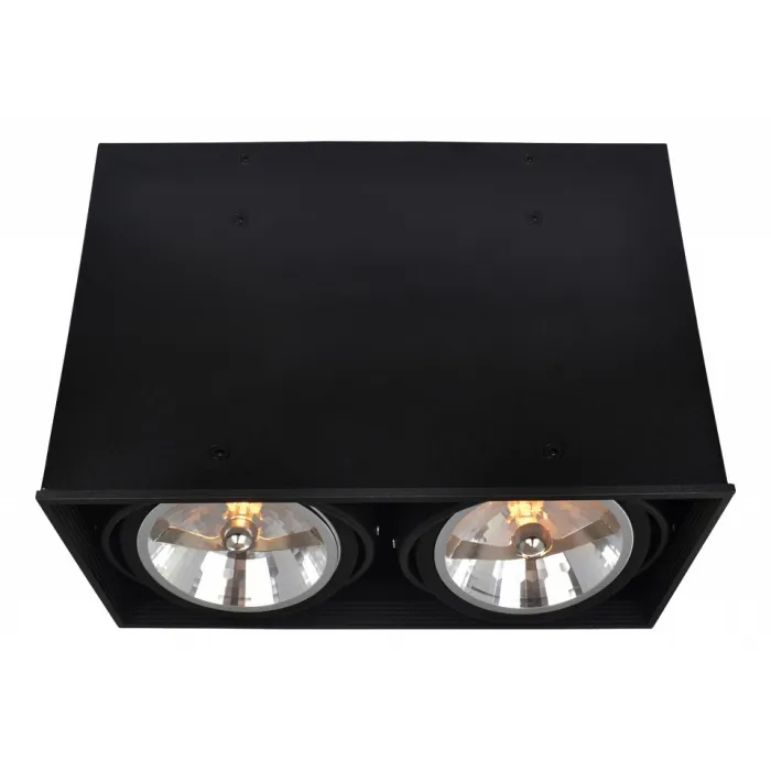 Накладной светильник Arte Lamp Cardani A5936PL-2BK от ImperiumLoft