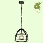 Подвесной светильник Lussole Matanuska GRLSP-8065 от ImperiumLoft