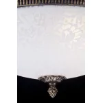 Потолочный светильник Maytoni C908-CL-04-R