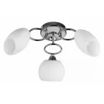 Потолочная люстра TopLight Madalyn TL2650X-03CH 