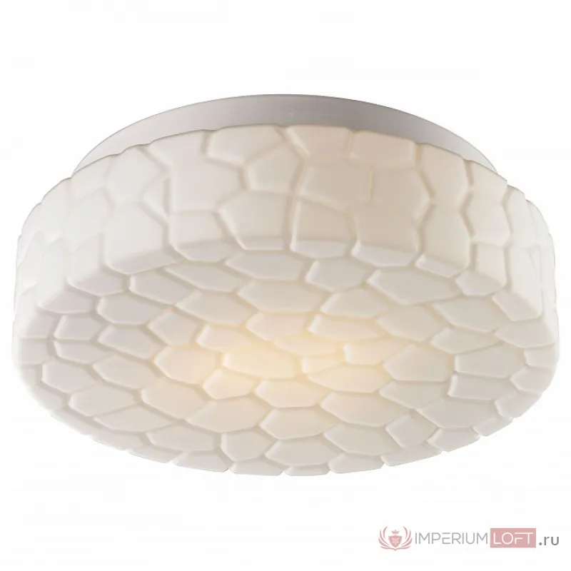 Накладной светильник Arte Lamp Aqua A5330PL-2WH от ImperiumLoft