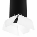 Накладной светильник Lightstar Rullo 3 R6497486 Цвет плафонов черно-белый