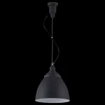 Подвесной светильник Maytoni Bellevue P534PL-01B Цвет арматуры черный Цвет плафонов черный от ImperiumLoft