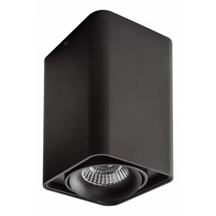 Накладной светильник Lightstar Monocco 212537 от ImperiumLoft