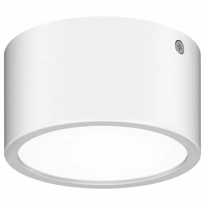 Накладной светильник Lightstar Zolla 380164 от ImperiumLoft