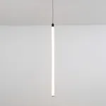 Подвесной светильник Maytoni Ray P022PL-L20B3K