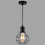 Подвесной светильник Arte Lamp 1109 A1109SP-1BK 