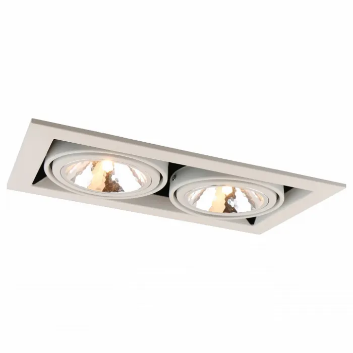 Встраиваемый светильник Arte Lamp Cardani A5949PL-2WH Цвет арматуры белый Цвет плафонов прозрачный от ImperiumLoft