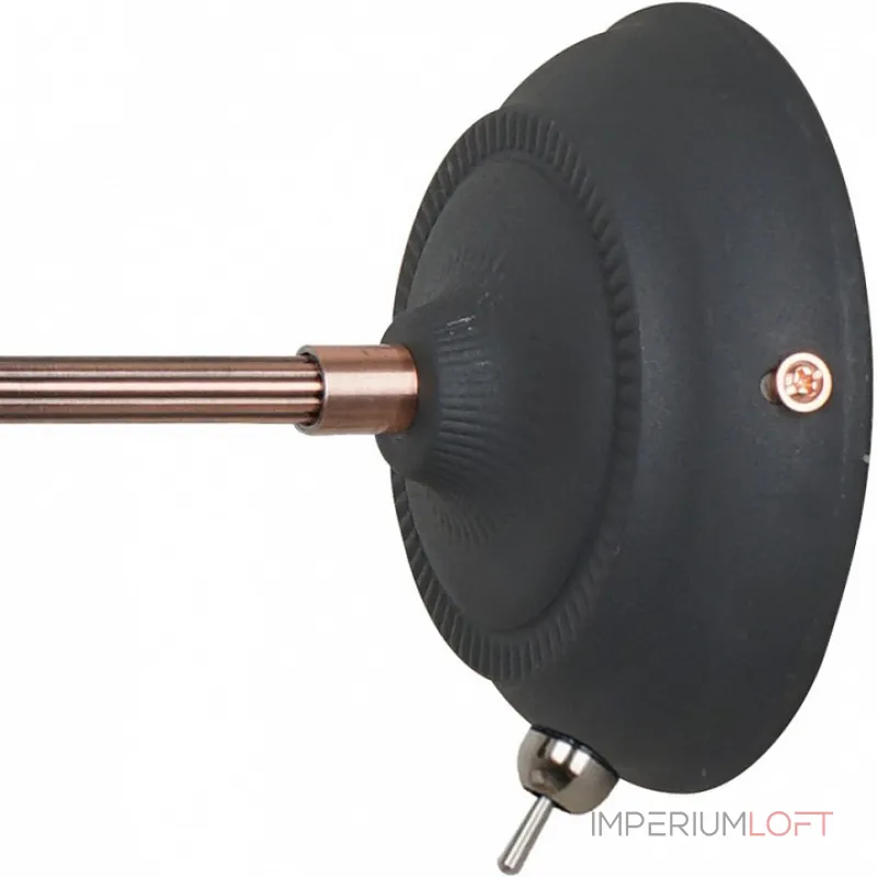 Бра Arte Lamp 5067 A5067AP-1BK Цвет арматуры бронза Цвет плафонов черный