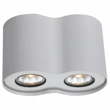 Накладной светильник Arte Lamp Falcon A5633PL-2WH Цвет арматуры белый Цвет плафонов прозрачный от ImperiumLoft