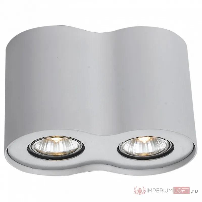 Накладной светильник Arte Lamp Falcon A5633PL-2WH Цвет арматуры белый Цвет плафонов прозрачный от ImperiumLoft