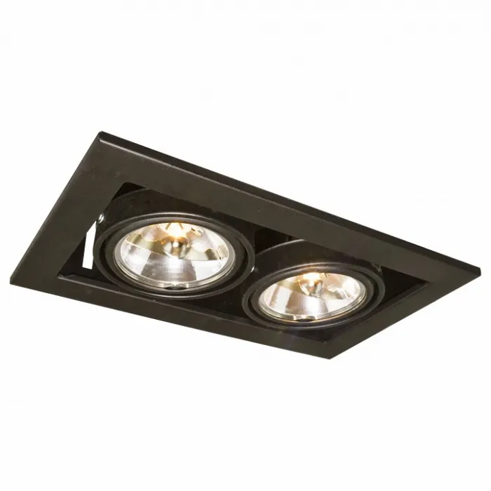 Встраиваемый светильник Arte Lamp Technika 2 A5930PL-2BK Цвет арматуры черный Цвет плафонов черный от ImperiumLoft