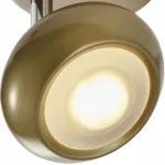 Спот TopLight Carissa TL1244Y-01SG Цвет плафонов золото Цвет арматуры золото