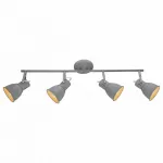 Спот Arte Lamp 1677 A1677PL-4GY Цвет арматуры серый Цвет плафонов серый