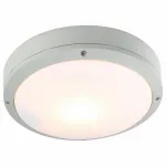 Потолочный светильник Arte Lamp City A8154PF-2GY 