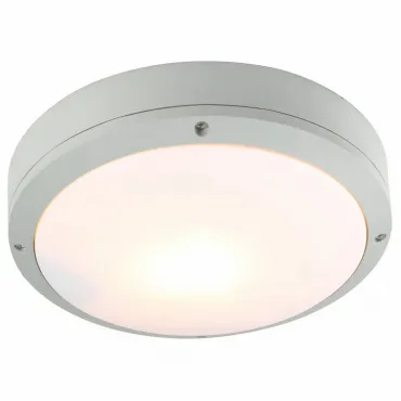 Накладной светильник Arte Lamp City A8154PF-2GY Цвет арматуры серый Цвет плафонов белый