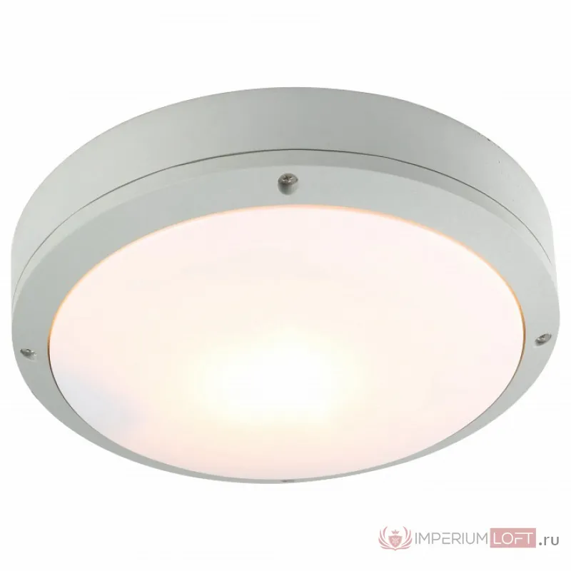 Накладной светильник Arte Lamp City A8154PF-2GY Цвет арматуры серый Цвет плафонов белый от ImperiumLoft